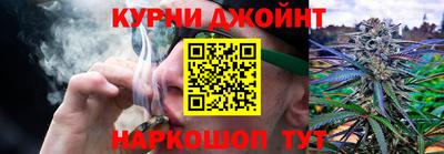 дживик Аша