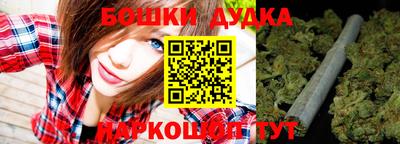 дживик Аша
