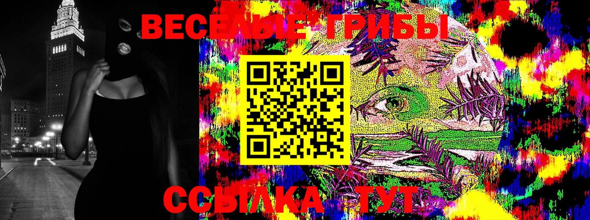 Галлюциногенные грибы MAGIC MUSHROOMS  Вход с VPN  Йошкар-Ола  наркота  Галлюциногенные грибы прущие грибы 